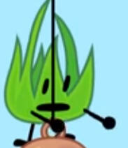 Grassy (BFB/TPOT)